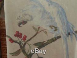 Oil On Wood Signed Andre Jallot / Parrot On A Cherry Art Deco Ca 1930