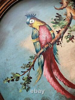 Oil Paint. Parrot. Volatile. Animal Painting. Parrot Painting Art