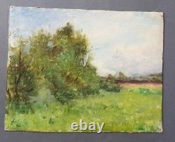 Oil Painting Jules-cyrille Hidden Landscape Underwood Tree Nature Xixth Xxth