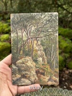 Oil on Wood Panel & Ancient Painting & Forest & Tree & Ruins