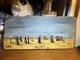 Oil On Wood Signed Diotallevi (joseph Born In 1959)