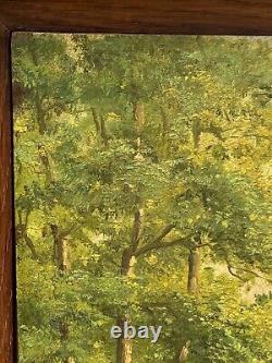Oil on panel artist's walk in Spa Spa Undergrowth XXth A4211