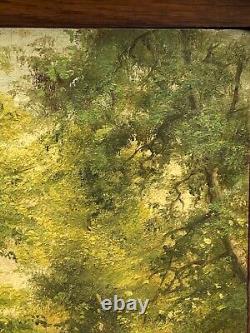 Oil on panel artist's walk in Spa Spa Undergrowth XXth A4211
