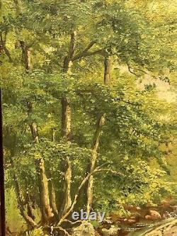 Oil on panel artist's walk in Spa Spa Undergrowth XXth A4211