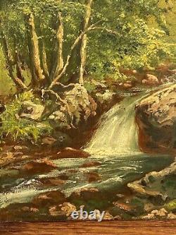 Oil on panel artist's walk in Spa Spa Undergrowth XXth A4211