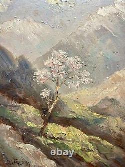 Oil on wood panel, signed Dieudonné Jacobs (1887-1967) Mountain Landscape