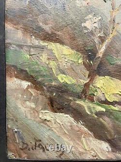 Oil on wood panel, signed Dieudonné Jacobs (1887-1967) Mountain Landscape