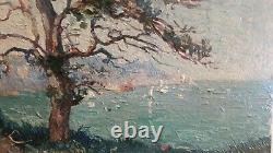 Old Oil On Wood, Tree, Landscape, Seafront