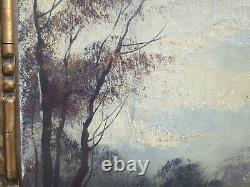 Old Oil Painting on Canvas of a Deer in the Woods Signed Thomas