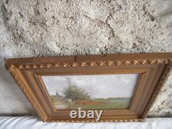 Old Oil on Wood Animated Landscape Barbizon School