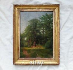 Old Painting 19th Barbizon Landscape Oil Signed Desmarquais Landscape Oil 1850