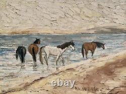 Old double-sided oil painting: landscape with horses and marine scene with genre monkey signature