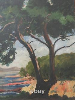 Old oil painting landscape fauvism pine parasol seaside signed