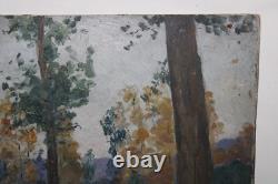 Old oil painting on wood panel, landscape with trees, dimensions 36x23.8 cm