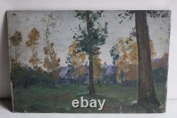 Old oil painting on wood panel, landscape with trees, dimensions 36x23.8 cm
