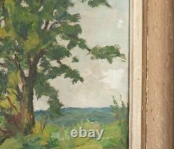 Painting Landscape Underwood And Sea Painting Oil On Canvas Georges Lattes Xxeme