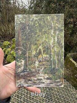 Painting & Oil on Panel & Forest & Wood & Trees