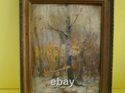 Signed Alfred Blondeau 1850 Small Oil On Canvas Of An Undergrowth #1262#
