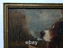Signed Old Painting, Hunting Dog, Oil On Panel, Late 19th Or Early 20th Century