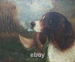 Signed Old Painting, Hunting Dog, Oil On Panel, Late 19th Or Early 20th Century