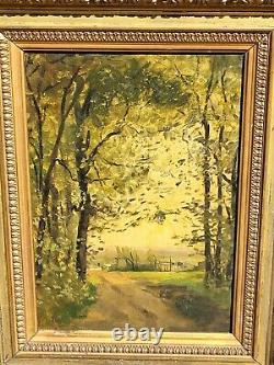 Signed Painting of Forest Landscape in Oil on Canvas