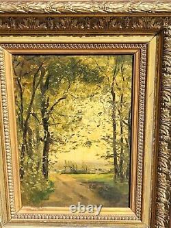 Signed Painting of Forest Landscape in Oil on Canvas