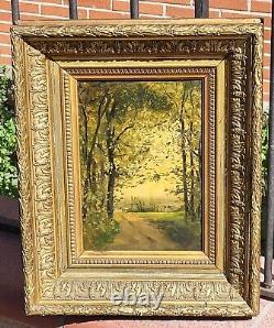 Signed Painting of Forest Landscape in Oil on Canvas