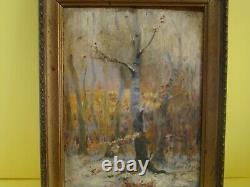 Signed by Alfred Blondeau 1850 small oil on canvas of a forest understory #1262#