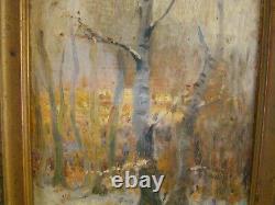 Signed by Alfred Blondeau 1850 small oil on canvas of a forest understory #1262#