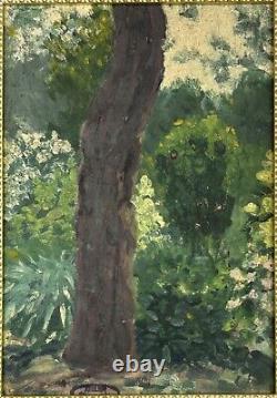 Small Original Antique Landscape Garden, Trees, Nature, Oil Painting, Framed