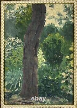Small Original Antique Landscape Garden, Trees, Nature, Oil Painting, Framed