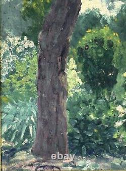 Small Original Antique Landscape Garden, Trees, Nature, Oil Painting, Framed