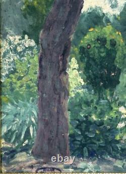 Small Original Antique Landscape Garden, Trees, Nature, Oil Painting, Framed