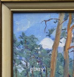 Small Original Antique Landscape, Trees, Nature Park, Oil Painting, Framed