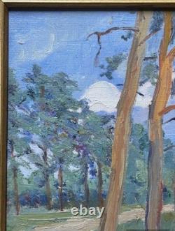 Small Original Antique Landscape, Trees, Nature Park, Oil Painting, Framed