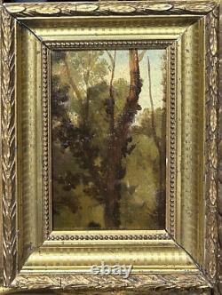 Small Original Antique Trees Sky Nature, Oil Painting, Framed
