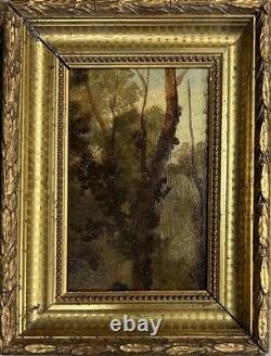 Small Original Antique Trees Sky Nature, Oil Painting, Framed