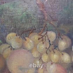 Still Life Painting of Fruits Oil on Canvas Wooden Frame Signed Bazzi 1940s