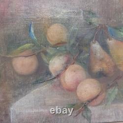 Still Life Painting of Fruits Oil on Canvas Wooden Frame Signed Bazzi 1940s