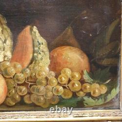 Still Life With Fruit Oil On Panel Xixth