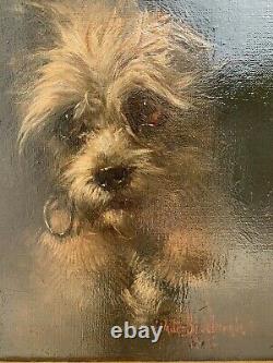 Sublime Oil On Canvas From The 19th Portrait Of A Dog By Walter Biddlecombe