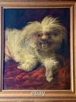 Sublime Oil On Canvas Maltese Bichon Signed August Friedrich Schenck 19th