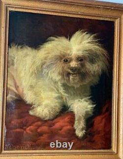 Sublime Oil On Canvas Maltese Bichon Signed August Friedrich Schenck 19th