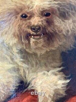 Sublime Oil On Canvas Maltese Bichon Signed August Friedrich Schenck 19th