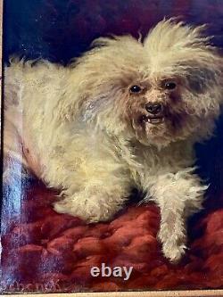 Sublime Oil On Canvas Maltese Bichon Signed August Friedrich Schenck 19th