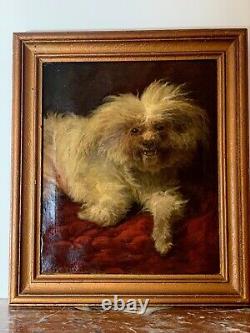 Sublime Oil On Canvas Maltese Bichon Signed August Friedrich Schenck 19th