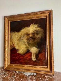 Sublime Oil On Canvas Maltese Bichon Signed August Friedrich Schenck 19th