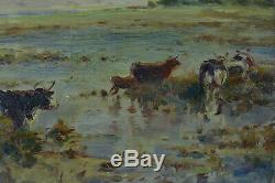 Table Cows Former Seafront Arcachon Cap Ferret 19th Gaston Guignard