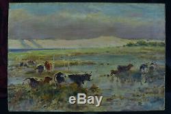 Table Cows Former Seafront Arcachon Cap Ferret 19th Gaston Guignard