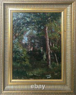 Table Hst/p Landscape Of Undergrowth, Forest XIX Signed Dupont With Frame